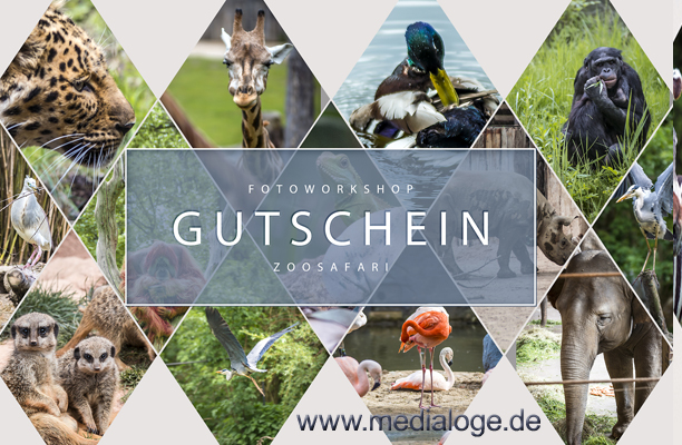 FOTOKURS FOTOSAFARI ZOO LEIPZIG FOTOSTUDIO LEIPZIG
