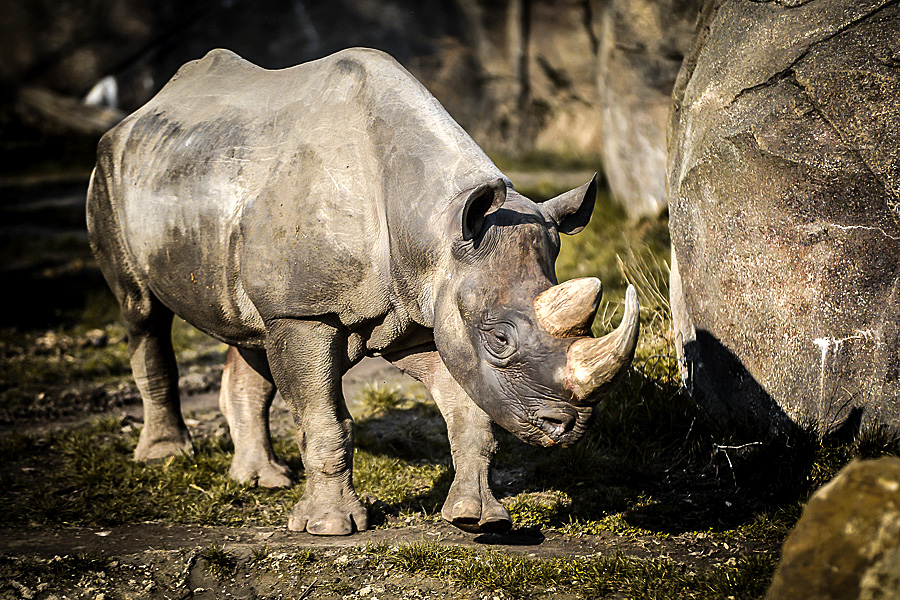 Fotokurs Fotosafari Leipzig