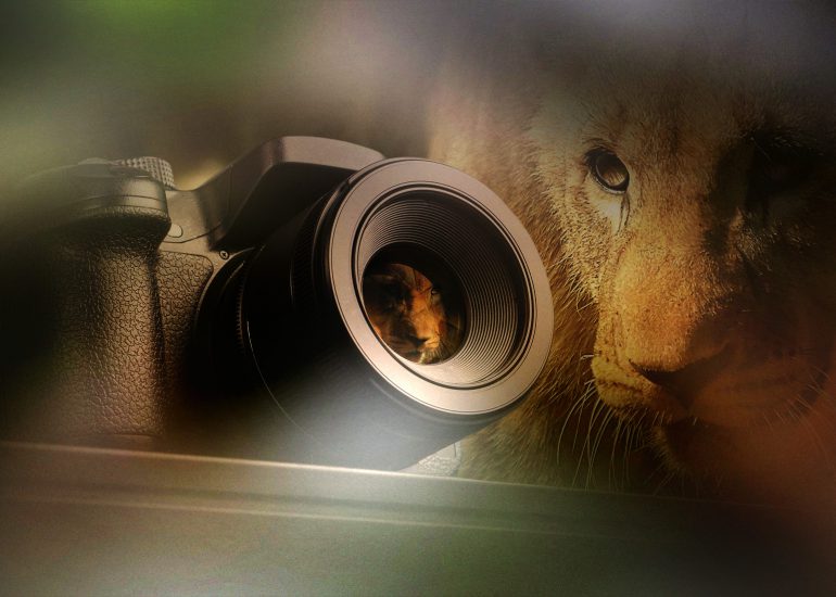 Fotokurs Leipzig ZOO
