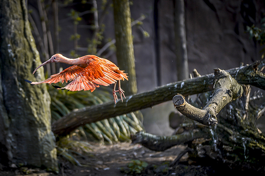 besser fotografieren fotokurs leipzig