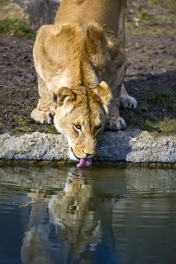 mit der Kamera den Zoo entdecken